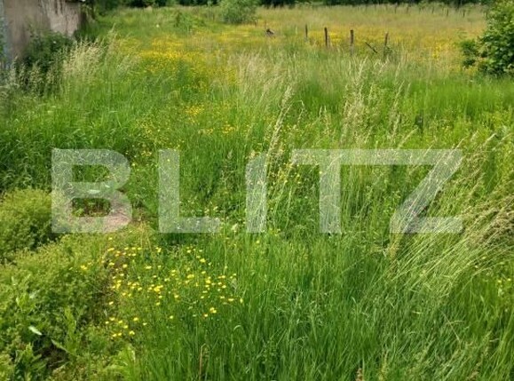 Teren de vânzare Pucioasa - 202848TV | BLITZ Târgoviște | Poza1