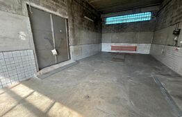 Spatiu industrial, 1500 mp, 7000 mp teren, zona Pucioasa