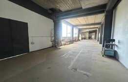 Spatiu industrial, 1500 mp, 7000 mp teren, zona Pucioasa
