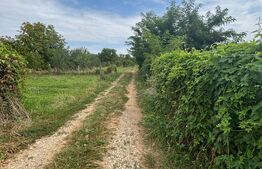 Teren intravilan, 1.368 mp, deschidere 24 ml, zona Vulcana-Pandele 