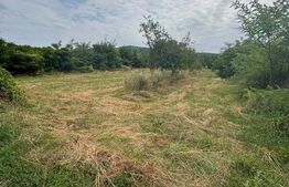 Teren intravilan, 1.368 mp, deschidere 24 ml, zona Vulcana-Pandele 