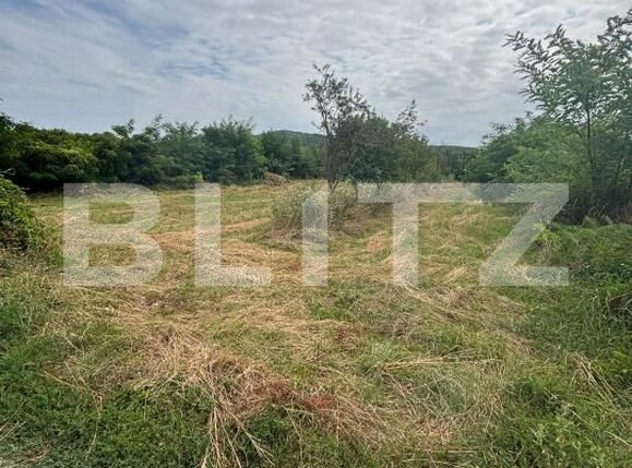 Teren de vânzare Vulcana-Pandele - 202905TV | BLITZ Târgoviște | Poza1