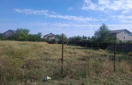 Teren intravilan, 600 mp, deschidere 15 ml, zona Dumbrava 