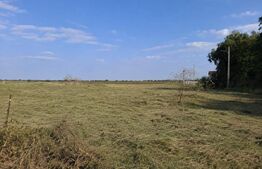 Teren intravilan, 2.500 mp, zona Matraca 