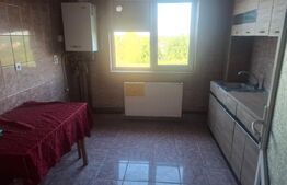 Apartament 2 camere, 50 mp, zona Găești