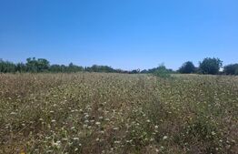 Teren de vanzare, 3000 mp, zona Dumbrava