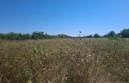 Teren de vanzare, 3000 mp, zona Dumbrava