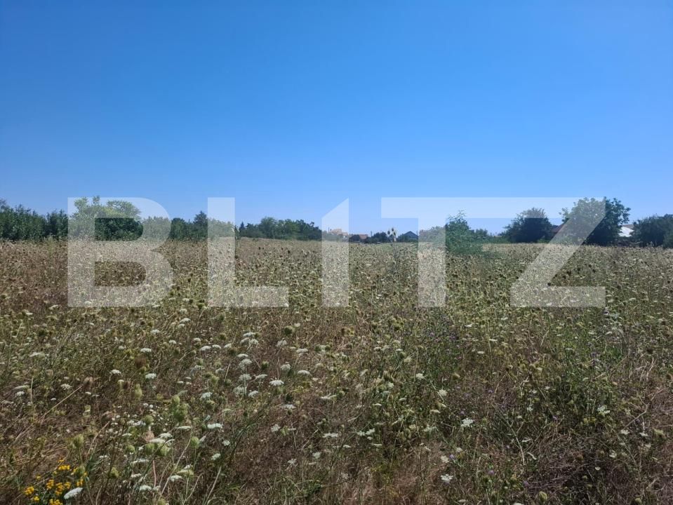 Teren de vânzare Dumbrava - 203235TV | BLITZ Târgoviște | Poza3