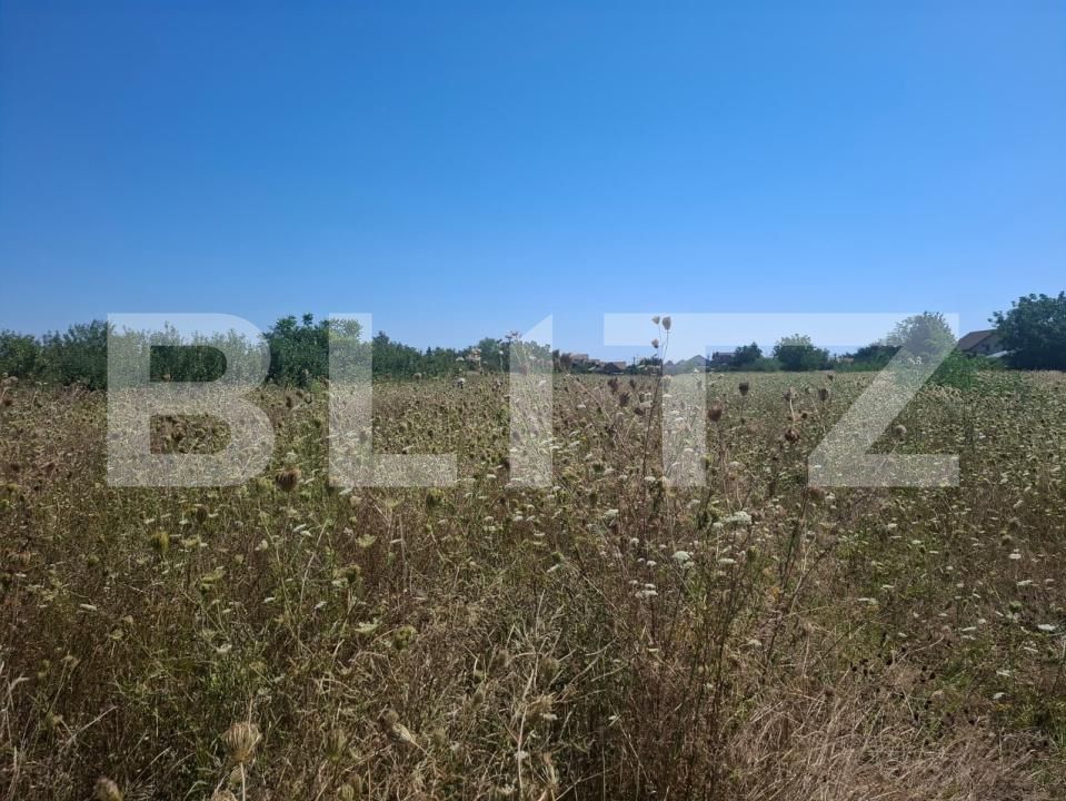 Teren de vânzare Dumbrava - 203235TV | BLITZ Târgoviște | Poza2