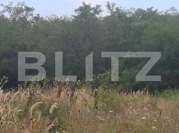 Teren de vânzare Suta Seaca - 203354TV | BLITZ Târgoviște | Poza3