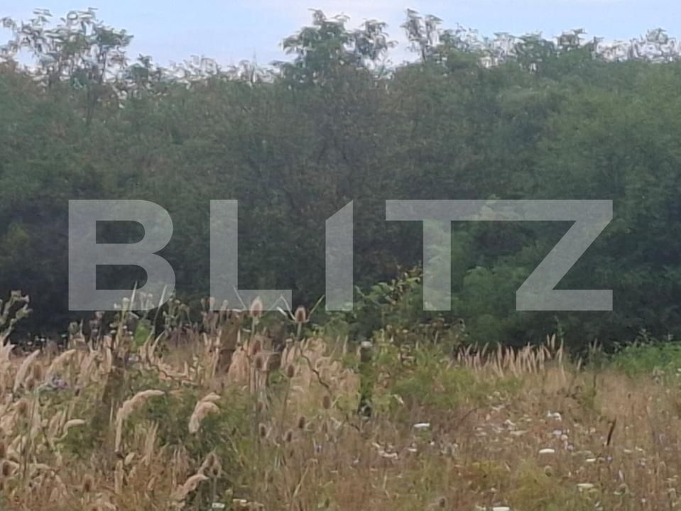Teren de vânzare Suta Seaca - 203354TV | BLITZ Târgoviște | Poza3