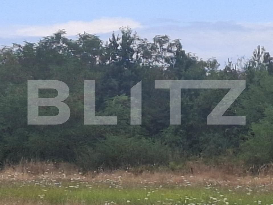 Teren de vânzare Suta Seaca - 203354TV | BLITZ Târgoviște | Poza2