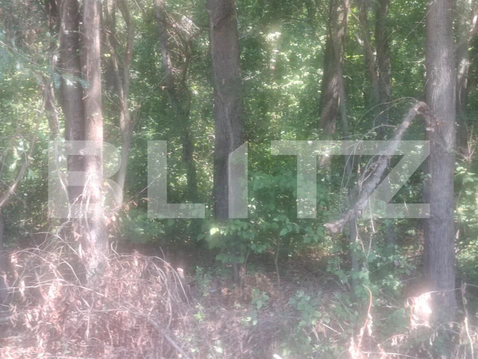 Teren de vânzare Suta Seaca - 203354TV | BLITZ Târgoviște | Poza5