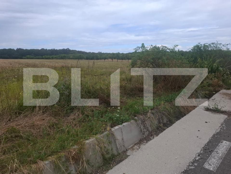 Teren de vânzare Suta Seaca - 203355TV | BLITZ Târgoviște | Poza4