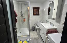 Casa P+M de vanzare, 142 mp, 500 mp, zona Titu 