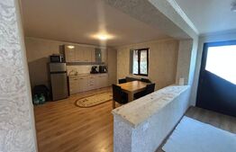 Casa P+M de vanzare, 142 mp, 500 mp, zona Titu 