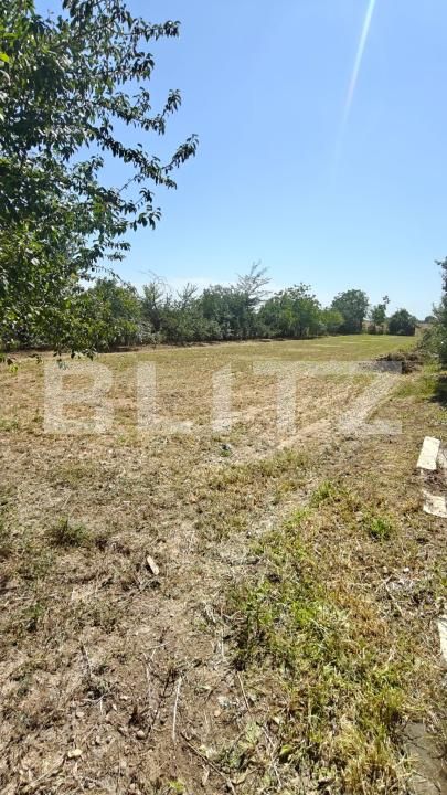 Teren de vânzare Dobra - 203512TV | BLITZ Târgoviște | Poza2