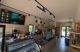 Spatiu de vanzare, 40 mp, zona Nord-Est