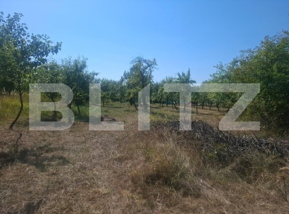 Teren de vânzare Cobiuta - 203620TV | BLITZ Târgoviște | Poza7