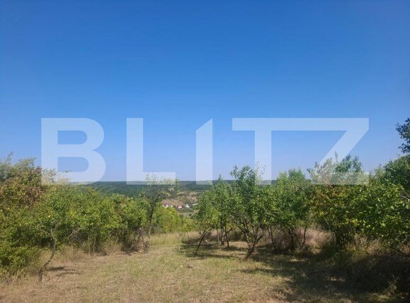 Teren de vânzare Cobiuta - 203620TV | BLITZ Târgoviște | Poza4