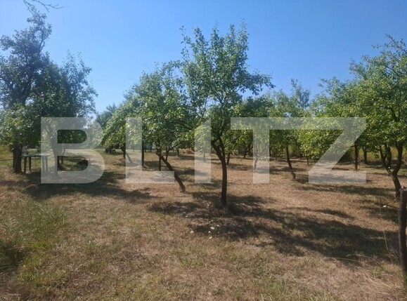 Teren de vânzare Cobiuta - 203620TV | BLITZ Târgoviște | Poza8