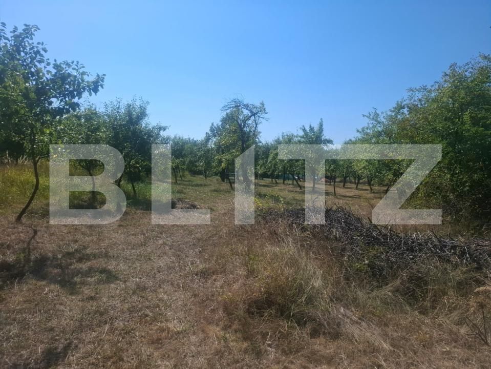 Teren de vânzare Cobiuta - 203620TV | BLITZ Târgoviște | Poza7