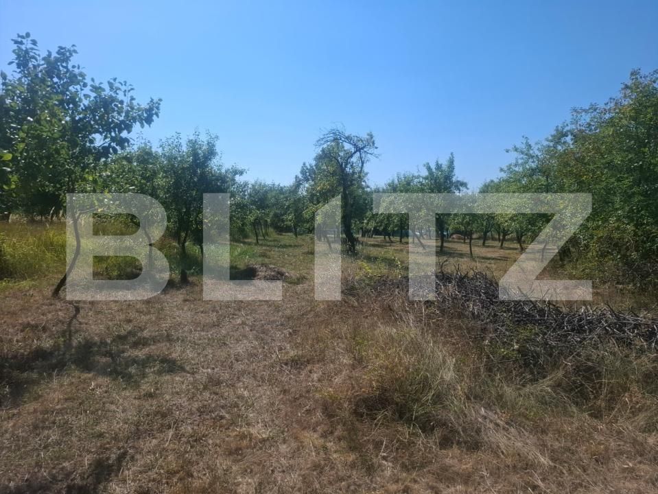 Teren de vânzare Cobiuta - 203620TV | BLITZ Târgoviște | Poza6