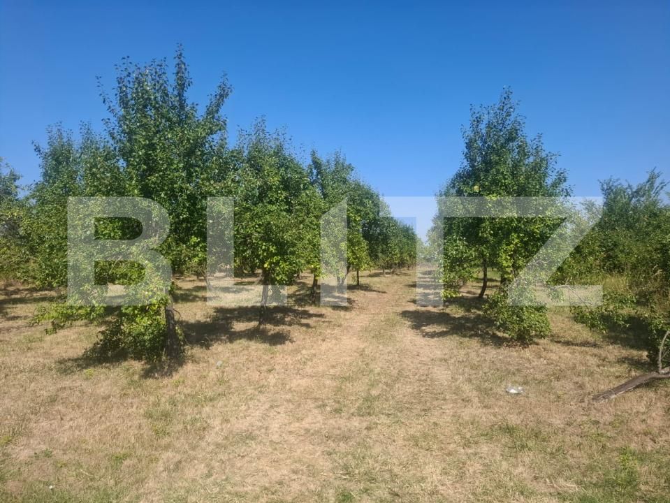 Teren de vânzare Cobiuta - 203620TV | BLITZ Târgoviște | Poza9
