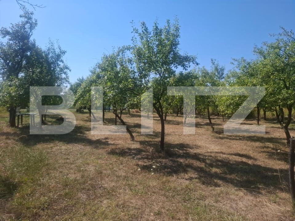 Teren de vânzare Cobiuta - 203620TV | BLITZ Târgoviște | Poza8