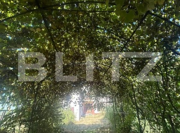 Casa de vânzare 6 camere Vulcana-Pandele - 203634CV | BLITZ Târgoviște | Poza22