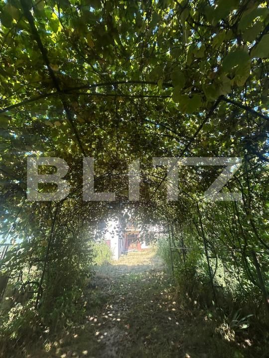 Casa de vânzare 6 camere Vulcana-Pandele - 203634CV | BLITZ Târgoviște | Poza22