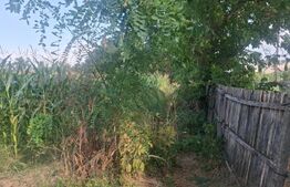 Teren de vanzare, 2800 mp, zona Gura Foi