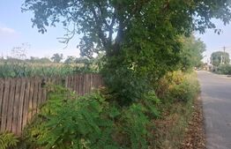 Teren de vanzare, 2800 mp, zona Gura Foi