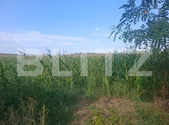 Teren de vânzare Gura Foii - 203819TV | BLITZ Târgoviște | Poza4