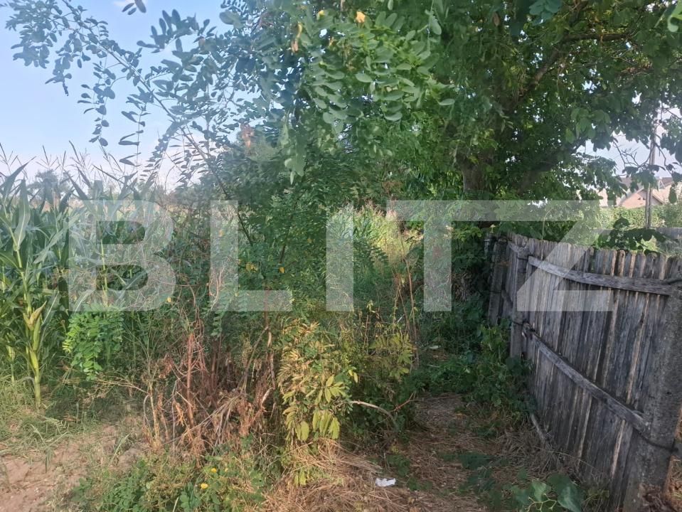 Teren de vânzare Gura Foii - 203819TV | BLITZ Târgoviște | Poza3