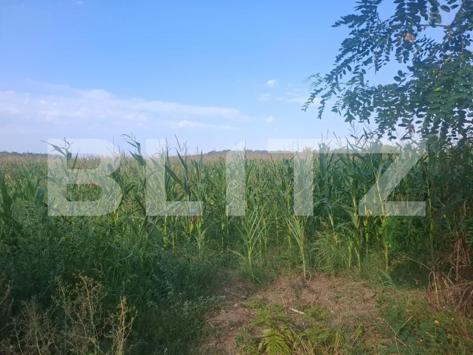 Teren de vânzare Gura Foii - 203819TV | BLITZ Târgoviște | Poza4