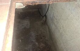 Proprietate cu 2 case, 310 mp, teren 2.100 mp, zona Gura Foii