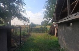 Proprietate cu 2 case, 310 mp, teren 2.100 mp, zona Gura Foii