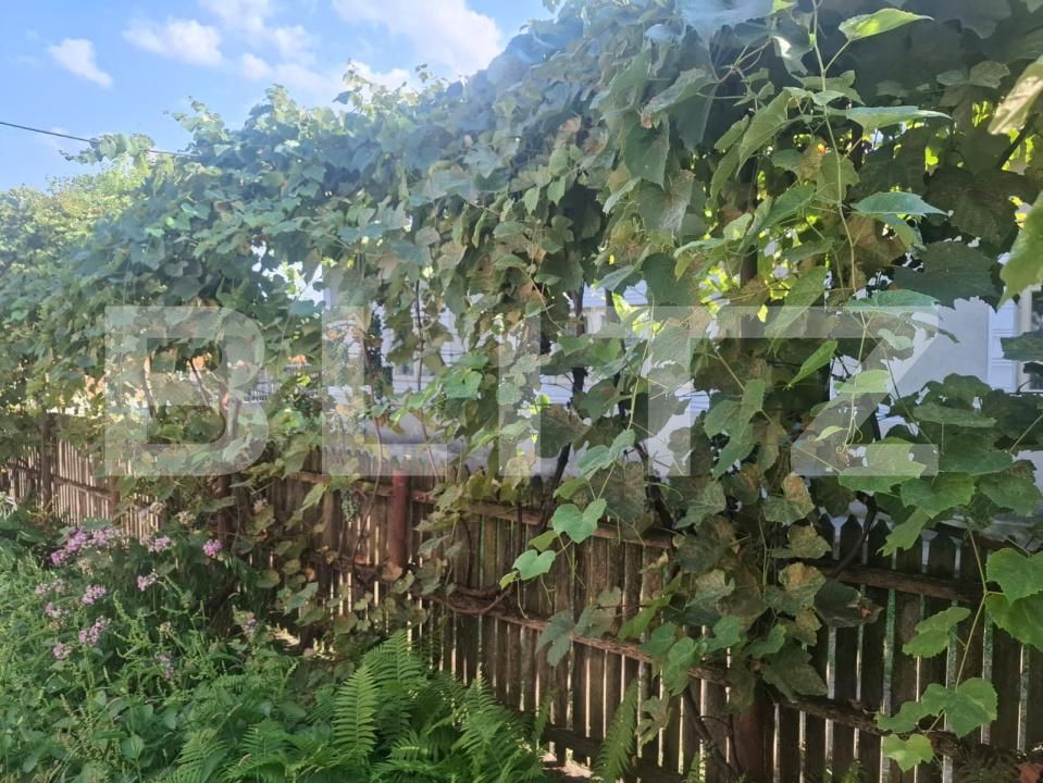 Casa de vânzare 5 camere Gura Foii - 203824CV | BLITZ Târgoviște | Poza12