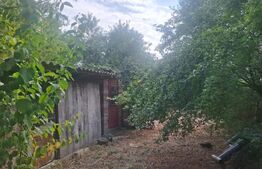 Casa de vanzare, 90 mp, teren  2.800 mp, zona Crangurile de Jos