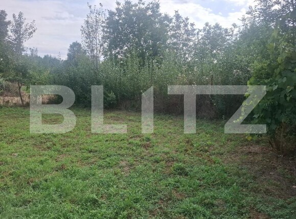 Casa de vânzare 3 camere Crangurile de Jos - 203835CV | BLITZ Târgoviște | Poza18
