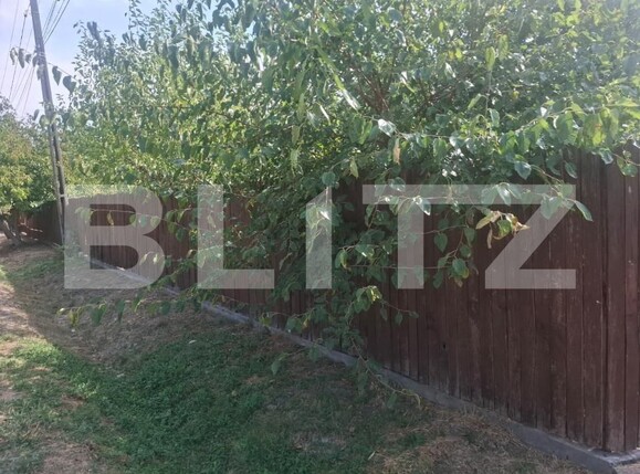 Casa de vânzare 3 camere Crangurile de Jos - 203835CV | BLITZ Târgoviște | Poza19