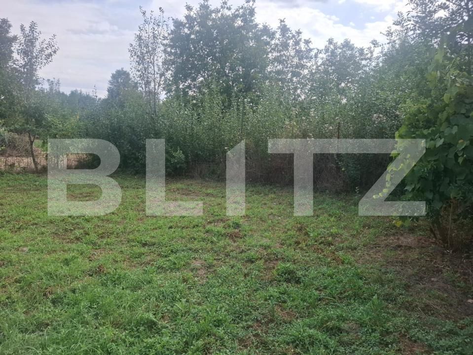 Casa de vânzare 3 camere Crangurile de Jos - 203835CV | BLITZ Târgoviște | Poza18