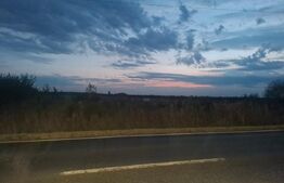 Teren intravilan de vanzare, 10000 mp, zona Bungesti