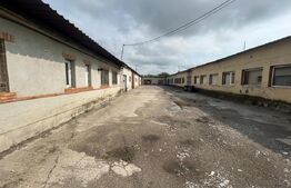 Hale industriale de inchiriat, curent trifazic, zona Centura Gaesti