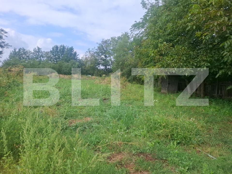 Teren de vânzare Hagioaica - 204111TV | BLITZ Târgoviște | Poza6