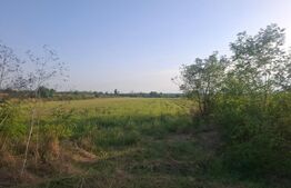 Teren extravilan de vanzare, 5000 mp, zona Viisoara