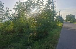 Teren extravilan de vanzare, 5000 mp, zona Viisoara