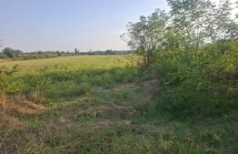 Teren extravilan de vanzare, 5000 mp, zona Viisoara