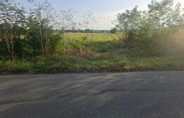 Teren extravilan de vanzare, 5000 mp, zona Viisoara